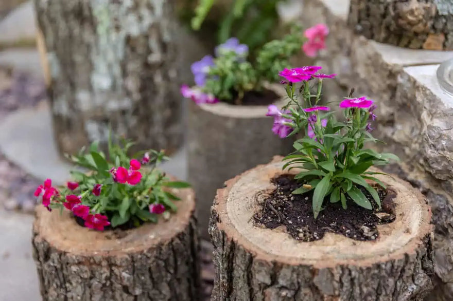 Log Planter Boxes