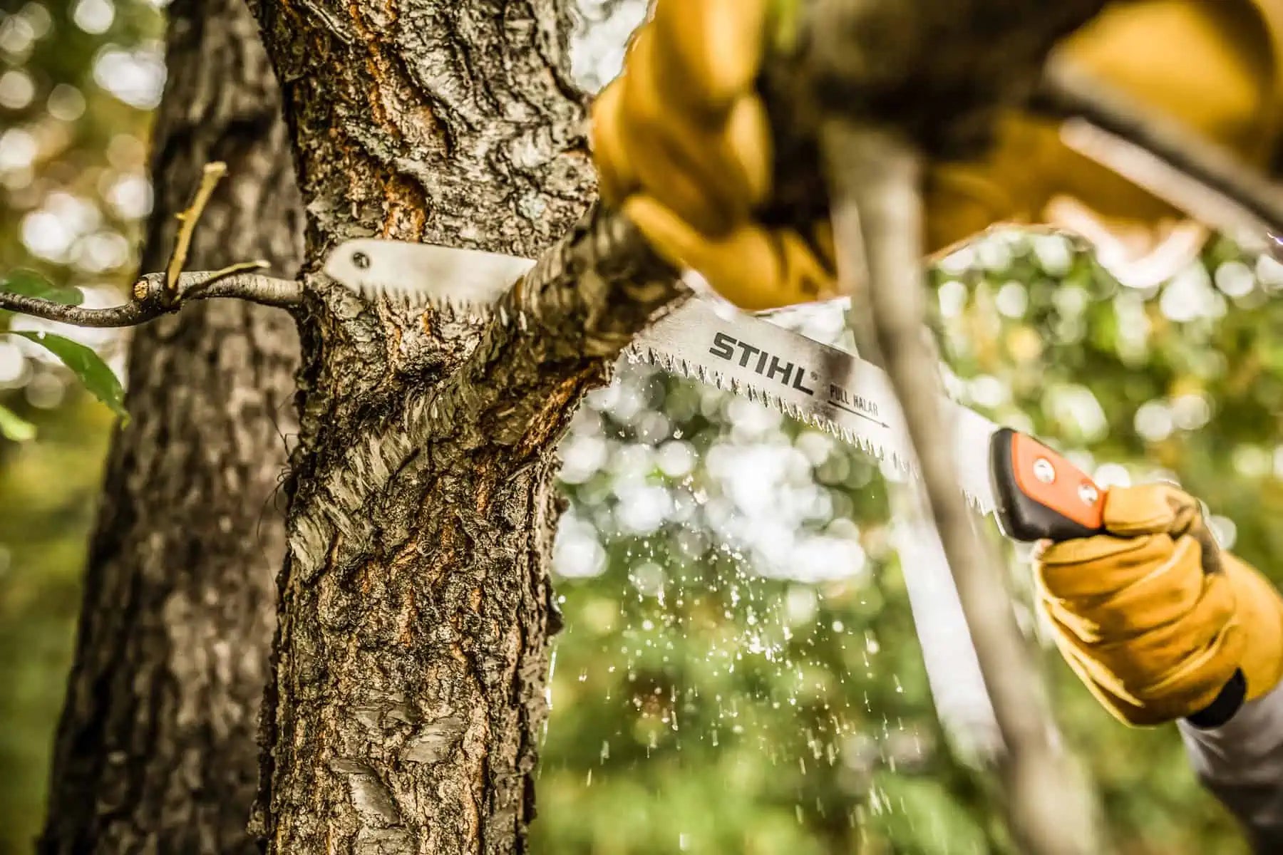 Hand Pruning Saws
