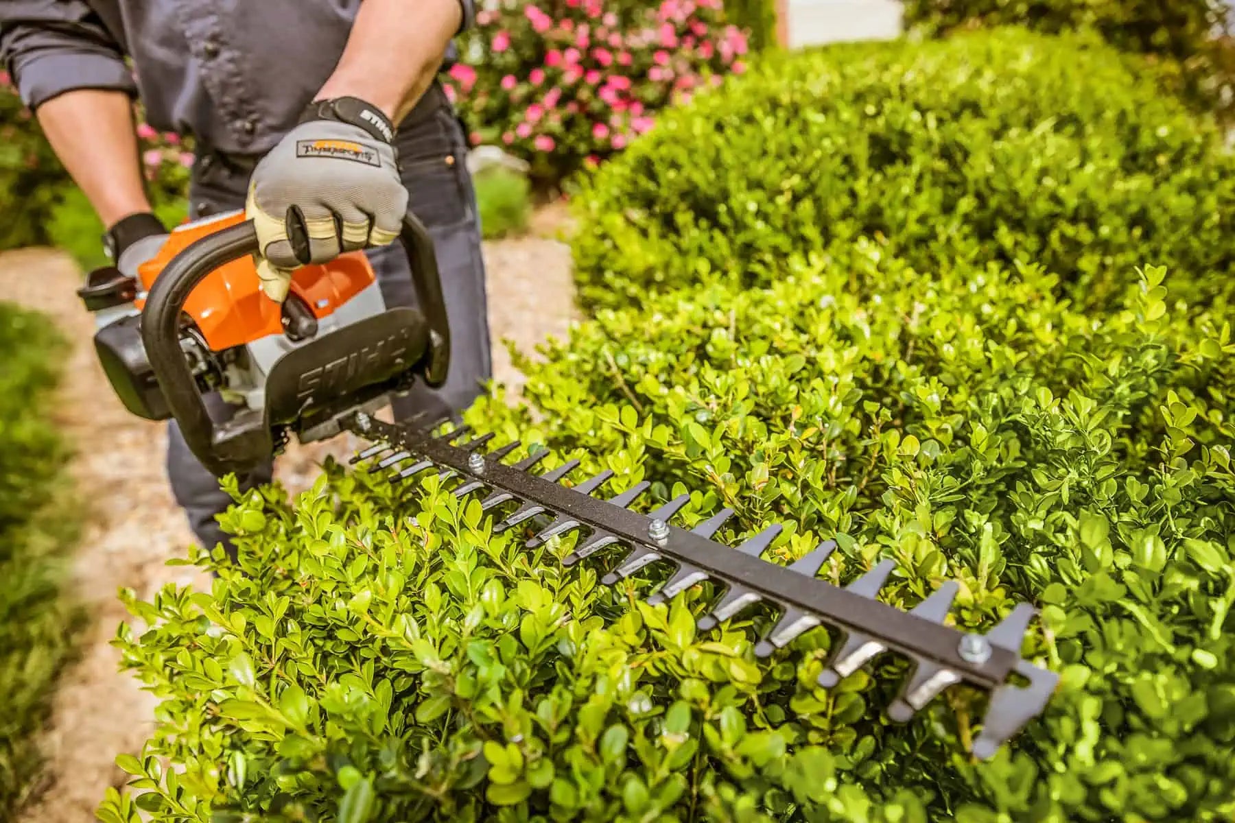 Hedge Trimmers