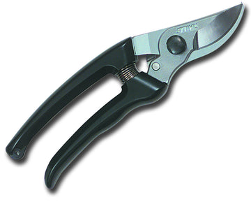 PP 30