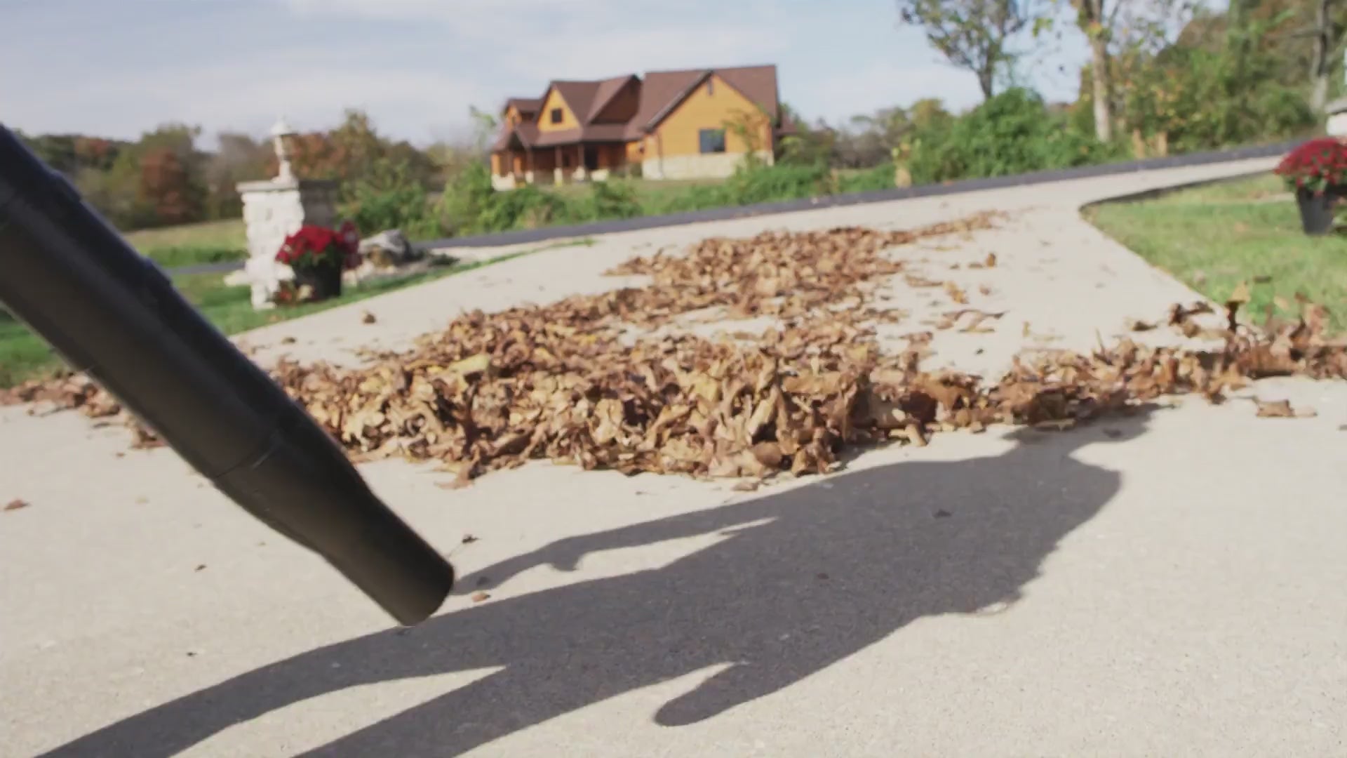 Clear Your Yard with Ease