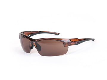 Bowcut Glasses